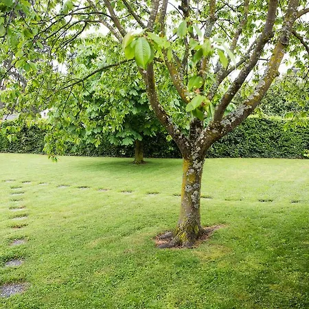 Des Pierrettes Motel 2*